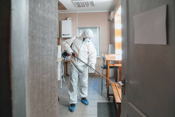 Best Environmental Consulting for Mold Prevention  in Amity, OR