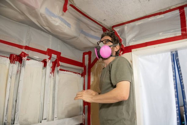 Best Comprehensive Air Testing for Mold Contaminants  in Amity, OR