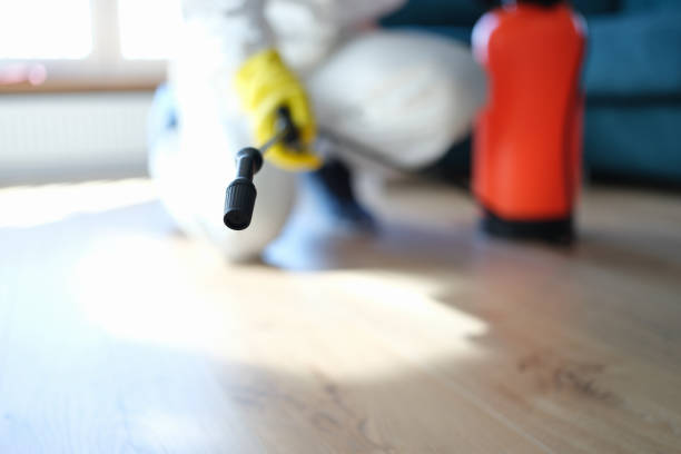 Best Commercial Mold Inspection  in Amity, OR